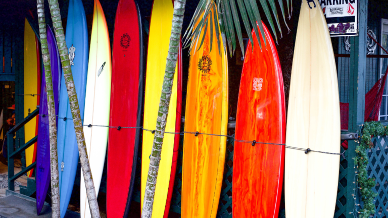 Several surfboards leaned against a rack