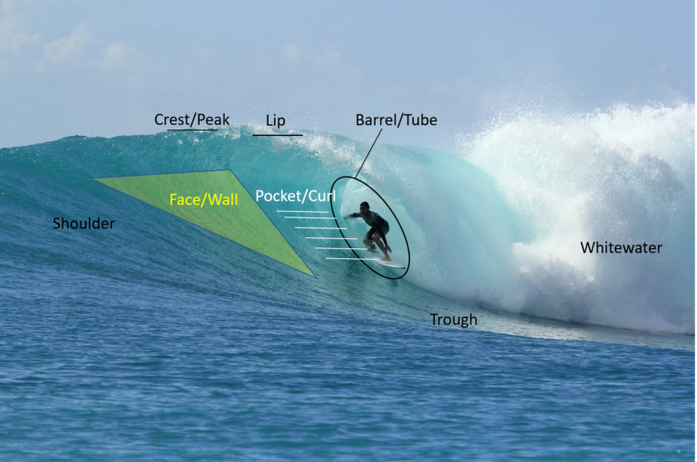 surf-glossary-200-surf-terms-slang-and-jargon-surf-tool-kit